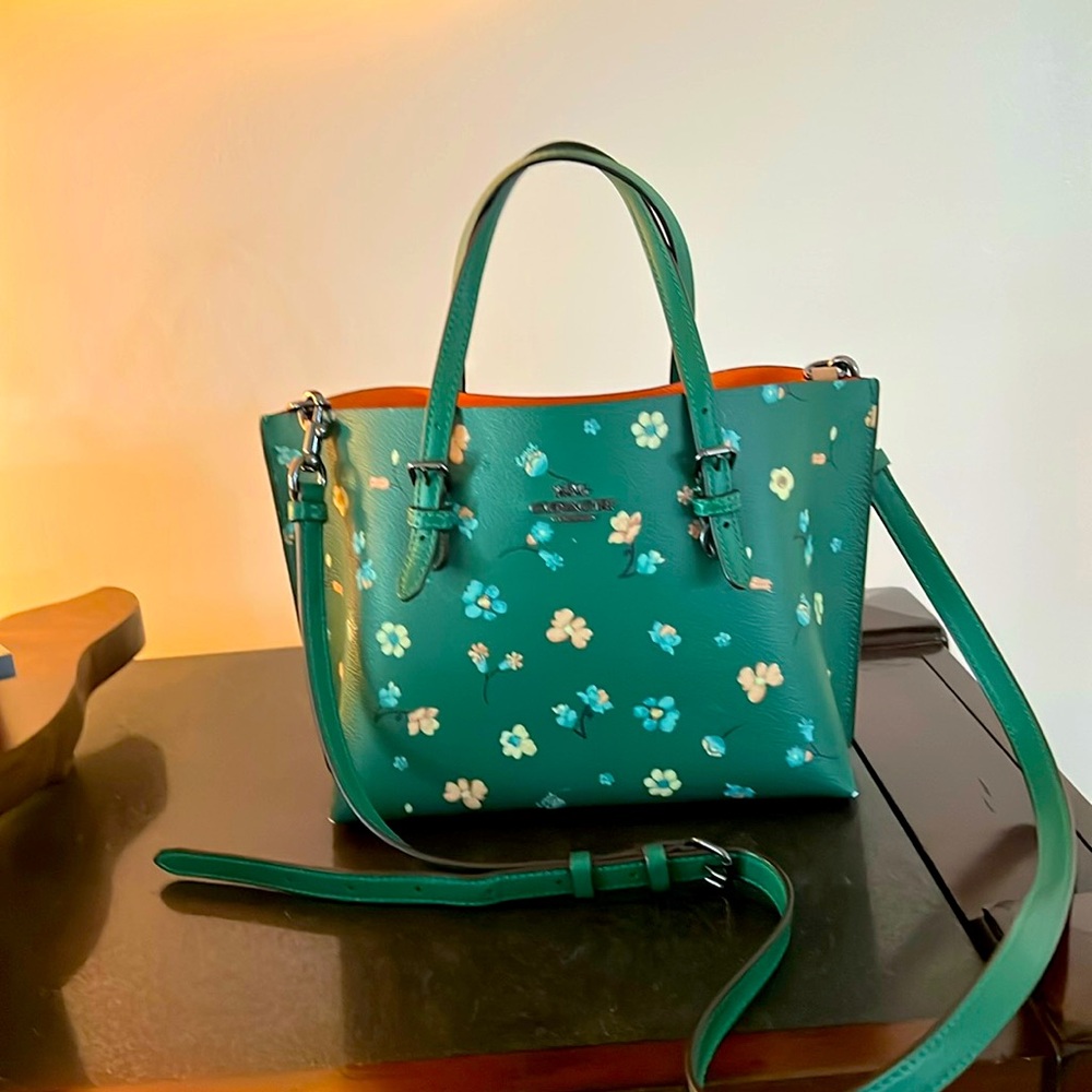 COACH Small Willow Tote